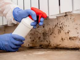 Best Mold Odor Removal Services  in Mcsherrystown, PA